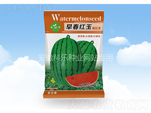 �紺�t��ڿڴ�-�Ƙ��N�I(y��)