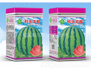 �Ƙ�����-�Ƙ��N�I(y��)