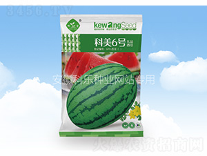 ����6̖(h��o)-�Ƙ�(l��)�N�I(y��)