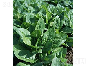 �ǻ�143-���˷N��-���r(n��ng)�r(n��ng)�I(y��)