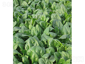 �ǻ�132-���˷N��-���r(n��ng)�r(n��ng)�I(y��)