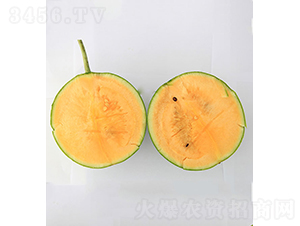 ���r(n��ng)��Ʒ2̖-���ϷN��-���r(n��ng)�r(n��ng)�I(y��)