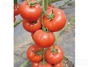 ���r(n��ng)�W��219-���ѷN��-���r(n��ng)�r(n��ng)�I(y��)