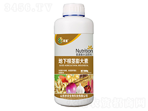 ���¸��o�����-�䳲-���r(n��ng)����