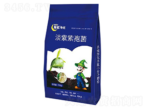 淡紫紫孢菌-魔粒專(zhuān)線(xiàn)-魔粒生物