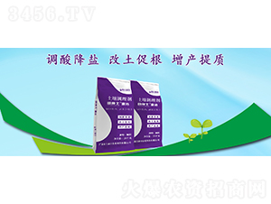 �＝ʿ�����������{(di��o)�턩-��������