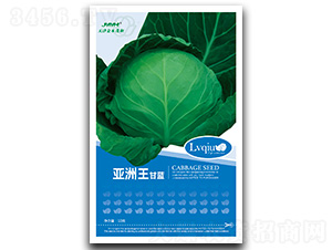 ������-���{(l��n)�N��-��ľï��