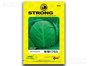 ���G1763-���{(l��n)�N��-��ľï��