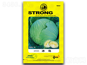 ���u-���{(l��n)�N��-��ľï��