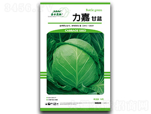 ����-���{(l��n)�N��-��ľï��