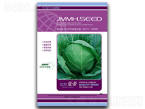 �����ĵ�-���{(l��n)�N��-��ľï��