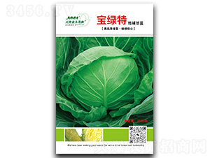 ���G��-���{(l��n)�N��-��ľï��