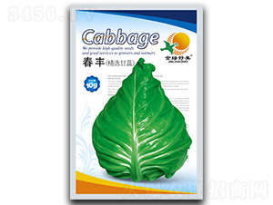 ���S-���{(l��n)�N��-��ľï��