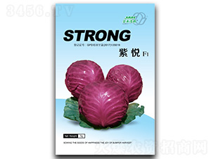 �ϐ�-���{(l��n)�N��-��ľï��