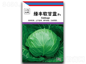 �G�Sܛ���{(l��n)-���{(l��n)�N��-��ľï��