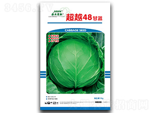 ��Խ48-���{(l��n)�N��-��ľï��