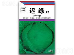 �t�G-���{(l��n)�N��-��ľï��