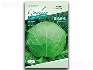 ¶�ش���-���{(l��n)�N��-��ľï��