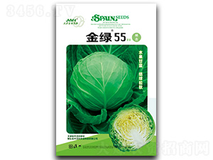 ��G55-���{(l��n)�N��-��ľï��