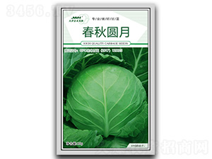 春秋圓月-甘藍(lán)種子-金木茂和