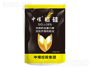 ����-����