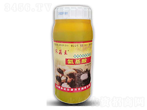 中量元素水溶肥料-保菇王·氨基酸-科達(dá)生物