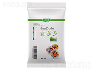 ΢�������-�����-����������