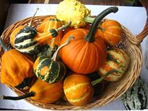 �^�p���ϹϷN��-�r(n��ng)�ƷN��