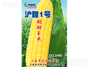 ����1̖���׷N��-�r(n��ng)�ƷN��