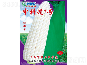 ���Ŵ1̖���׷N��-�r(n��ng)�ƷN��