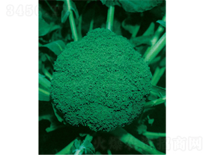 ���G��̖���{(l��n)�N��-�r(n��ng)�ƷN��