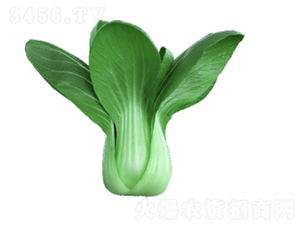 ����605��˷N��-�r�ƷN��