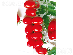 ����K605-���ѷN��-�r(n��ng)�ƷN��