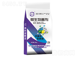 ΢�������-��(r��n)�|Դ-��������