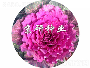 ��ɏ�t2̖-���{(l��n)�N��-���зN�I(y��)