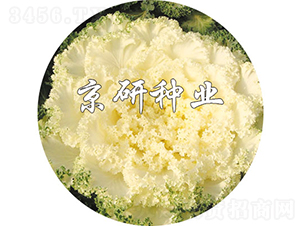 ���ڰ�1̖-���{(l��n)�N��-���зN�I(y��)