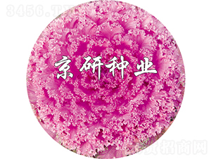 ���ڼt7̖-���{(l��n)�N��-���зN�I(y��)