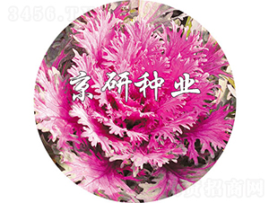 ����t2̖-���{(l��n)�N��-���зN�I(y��)