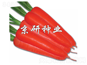 �tо105-���}���N��-���зN�I(y��)