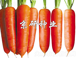 �A�u(y��)208-���}���N��-���зN�I(y��)