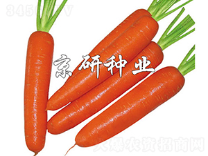 �A�u(y��)268-���}���N��-���зN�I(y��)