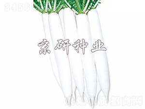 �������-�}���N��-���зN�I(y��)