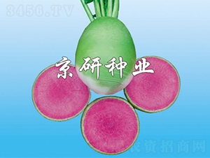 ����2̖����������ͣ�-�}���N��-���зN�I(y��)