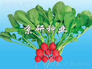 ���мt����-�}���N��-���зN�I(y��)