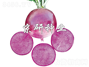 �����ϵ�-�}���N��-���зN�I(y��)