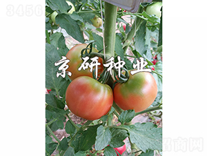 ����302-���ѷN��-���зN�I(y��)