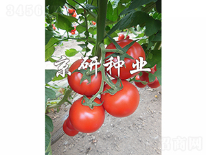 ����502-���ѷN��-���зN�I(y��)