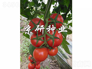 ����602-���ѷN��-���зN�I(y��)