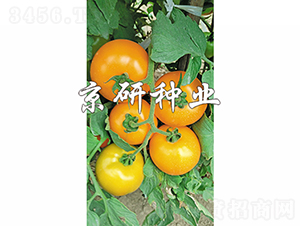 ����701-���ѷN��-���зN�I(y��)