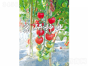 ��������1̖-���ѷN��-���зN�I(y��)